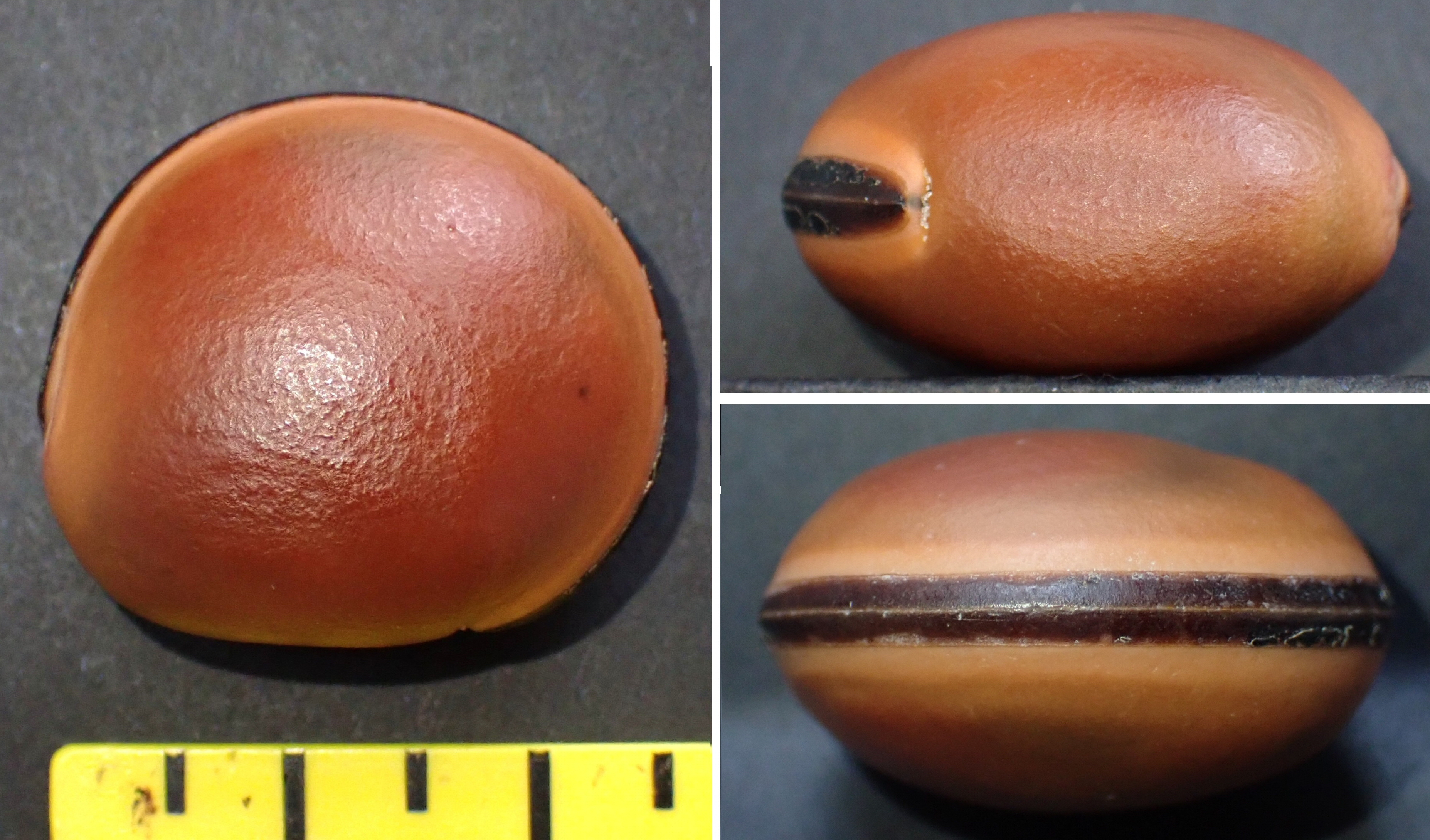 &copy;  Thijs de Boer